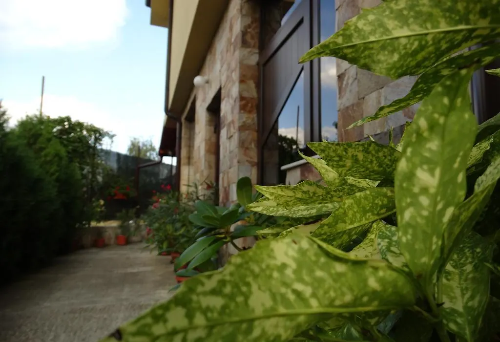 Guest House Ivel-1