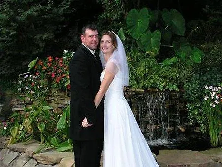 Black Forest Bed & Breakfast-1