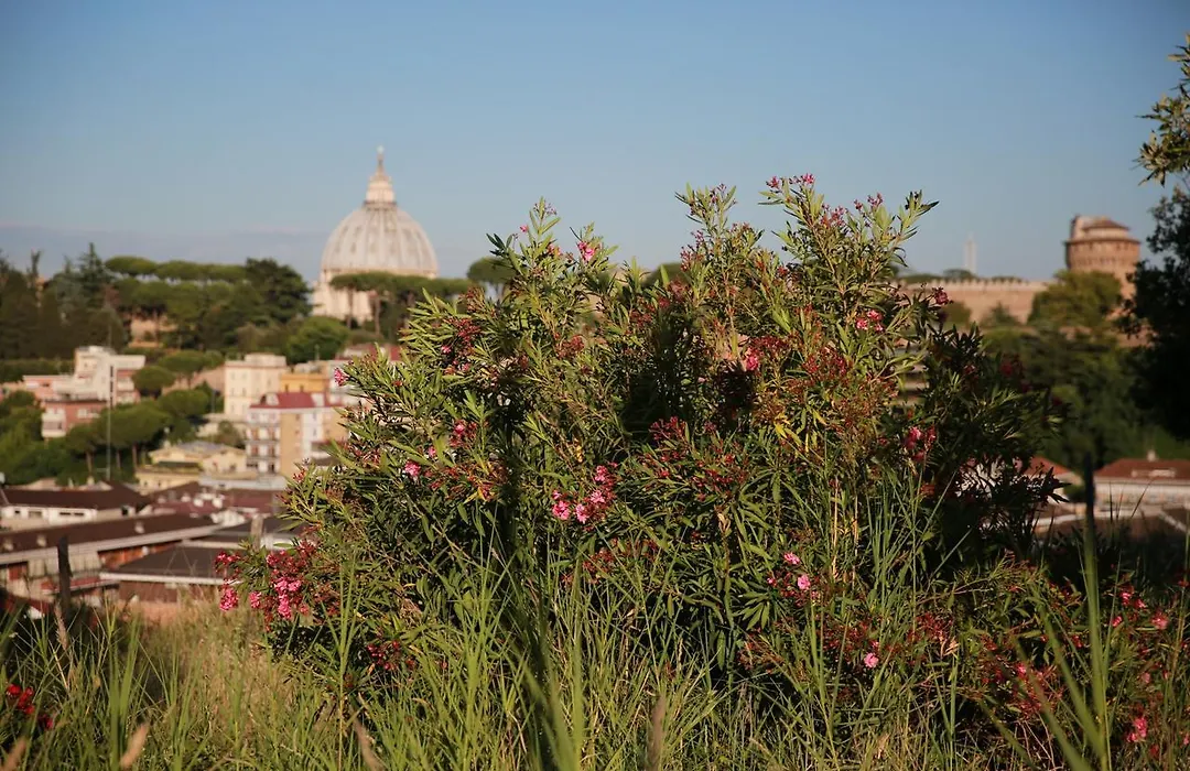 B&B All'Ombra di San Pietro-1