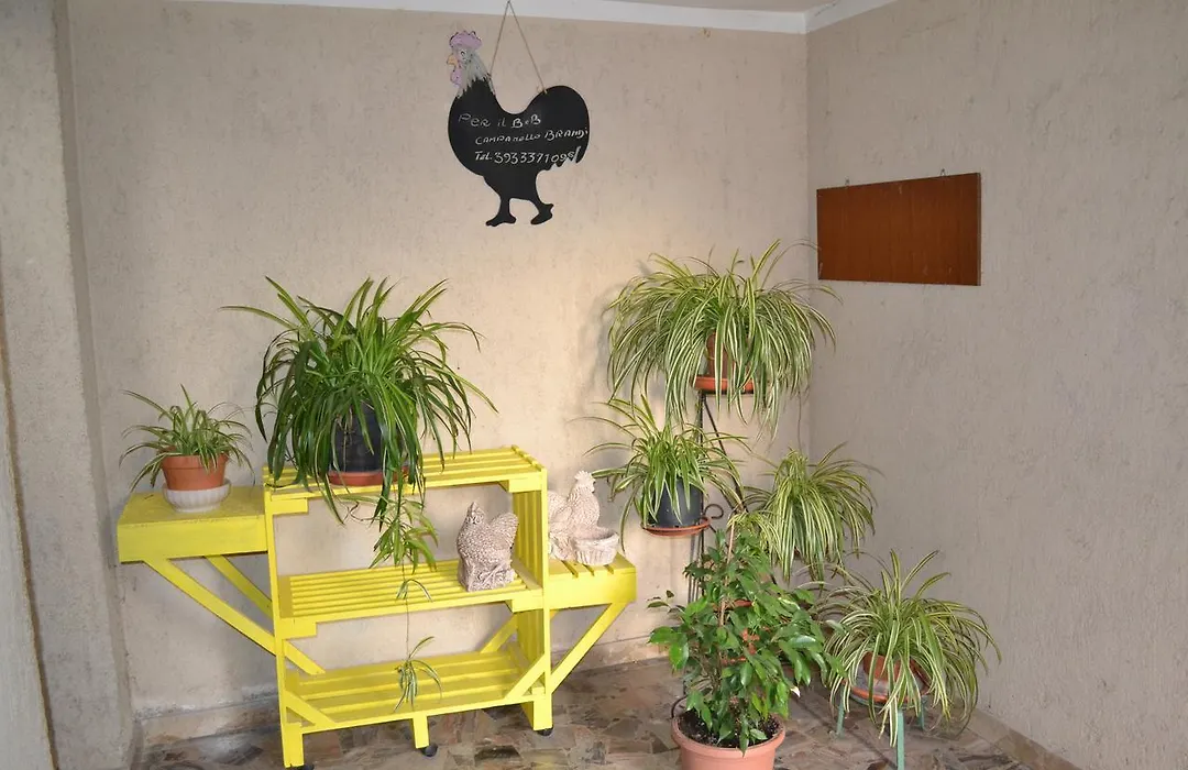 Il Giardino del Gallo-1