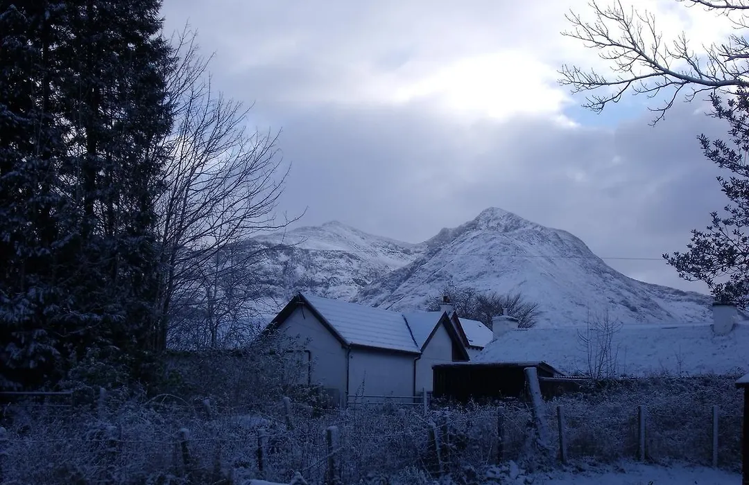 Beechwood Cottage B&B-1