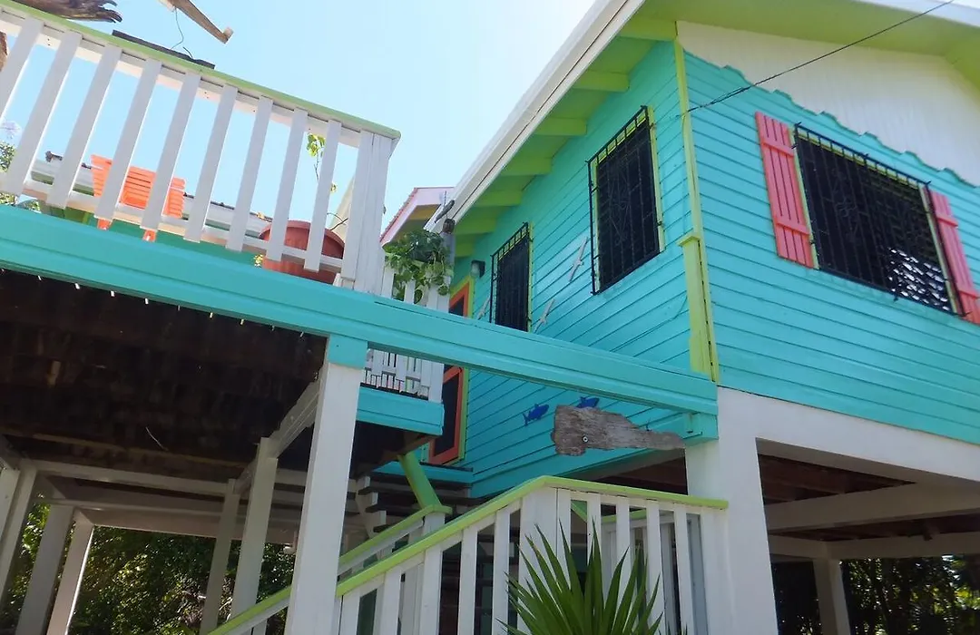 The Bottle Tree House-1