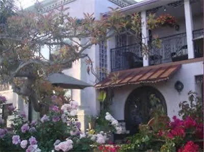 The Black Orchid Bed And Breakfast-1