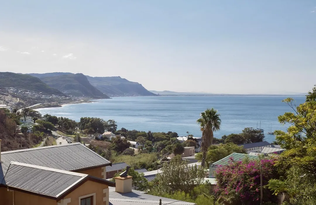 Protea Point-1