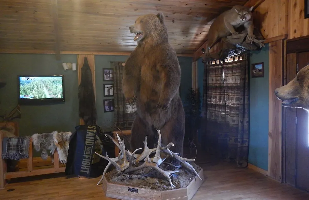 4 Bears Bed And Breakfast-1