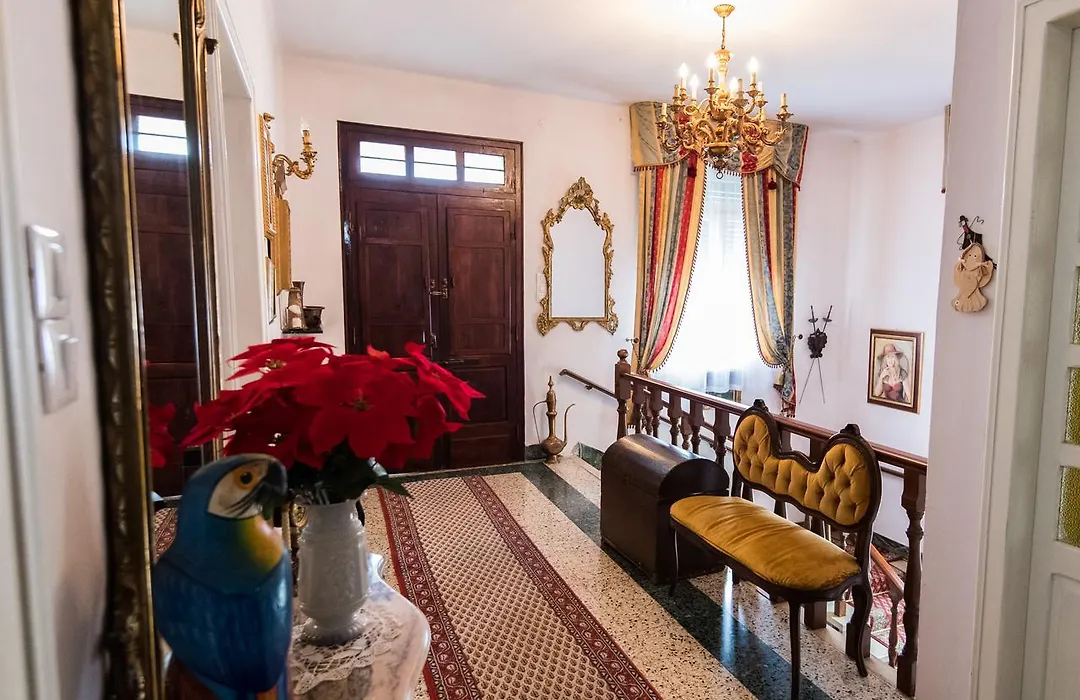 B&B Pereuka-1