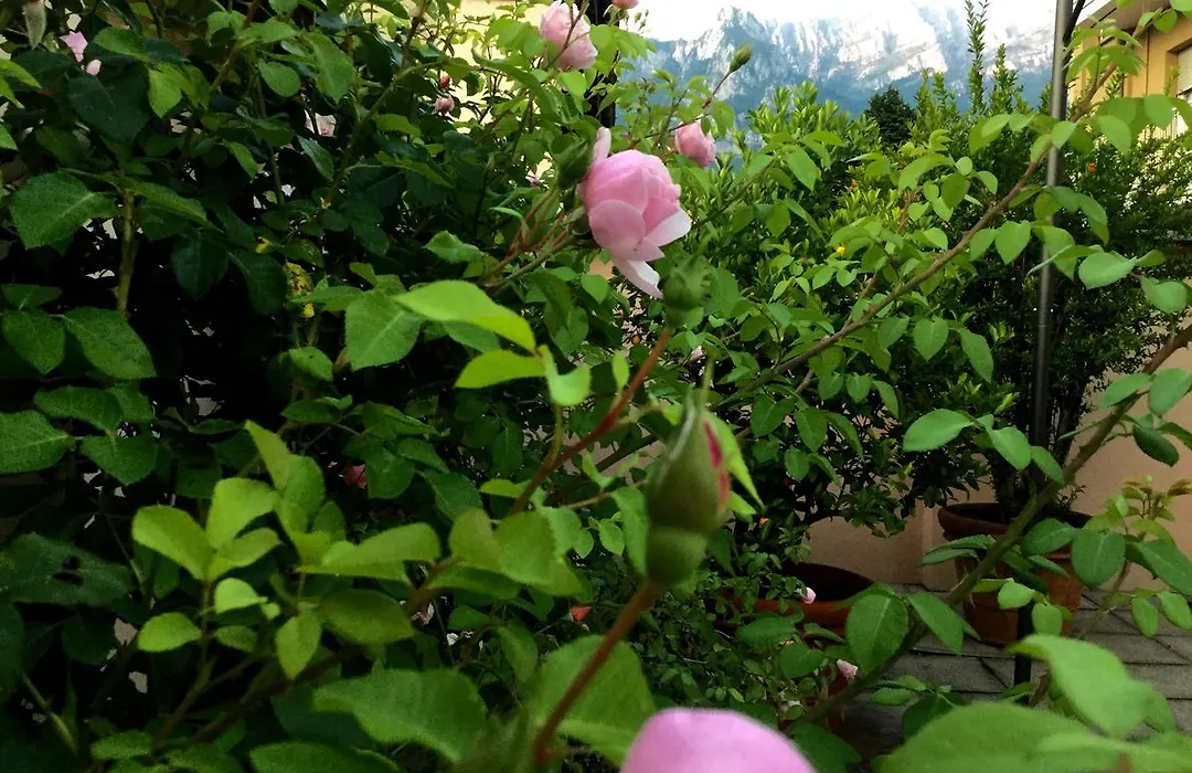 B&B Pescarenico-1