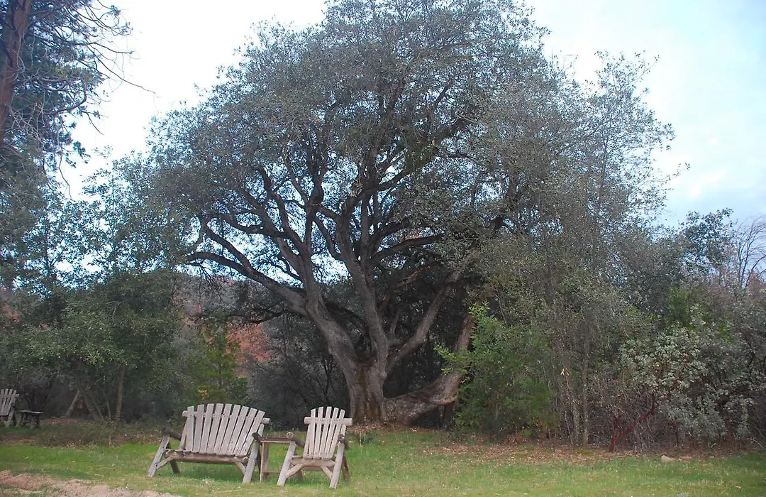 Sierra Trails Inn-1