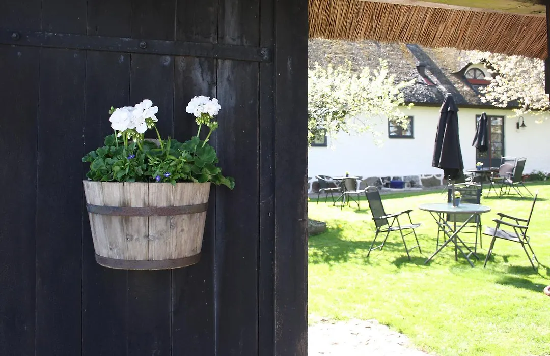 B&B Hannåsa Gård-1