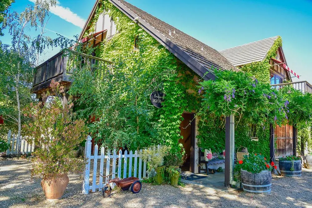 Orchard Hill Farm-1