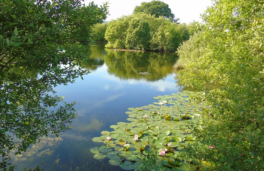 Spillers Farm-1
