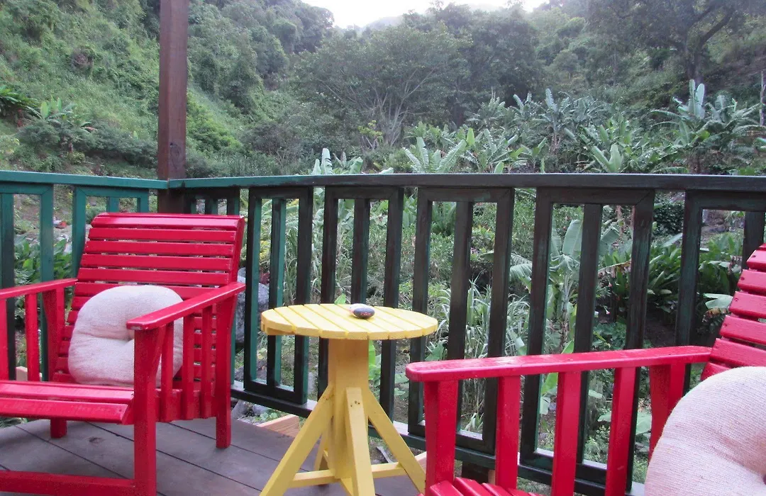 Rafjam Bed & Breakfast-1