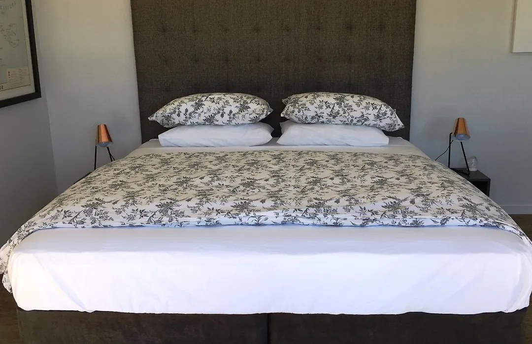 Kohimarama Beach Bed & Breakfast-1