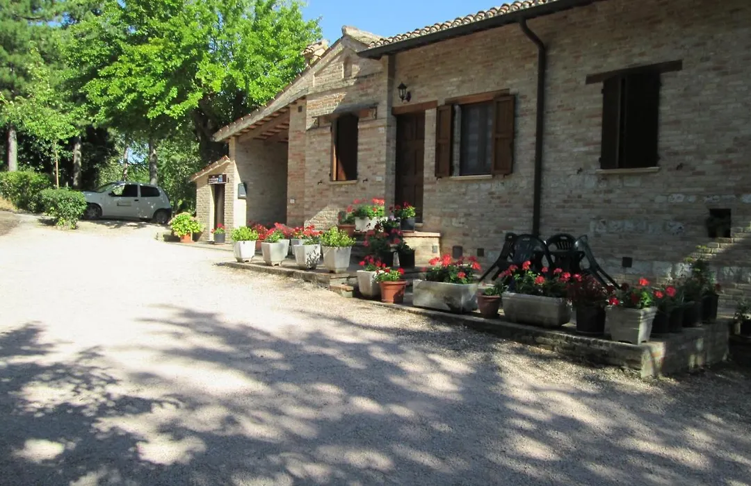 B&B Il Monchetto-1