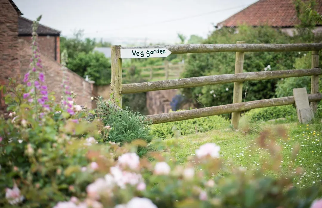 Huntstile Organic Farm-1