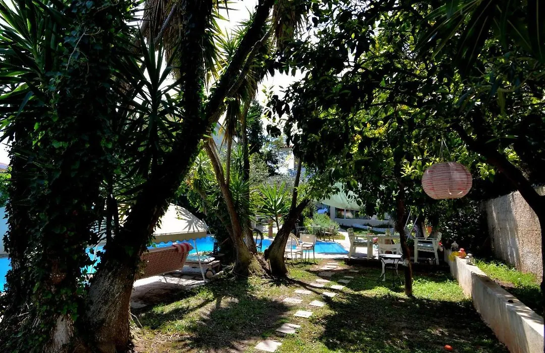St. Thomas Bed And Breakfast-1