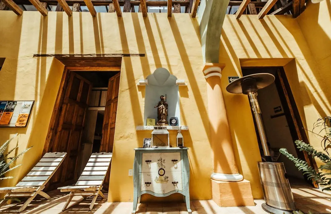 Snail Bed & Breakfast (Adults Only)-1