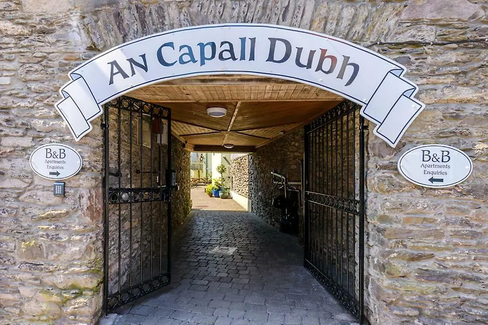 An Capall Dubh B&B Dingle-1