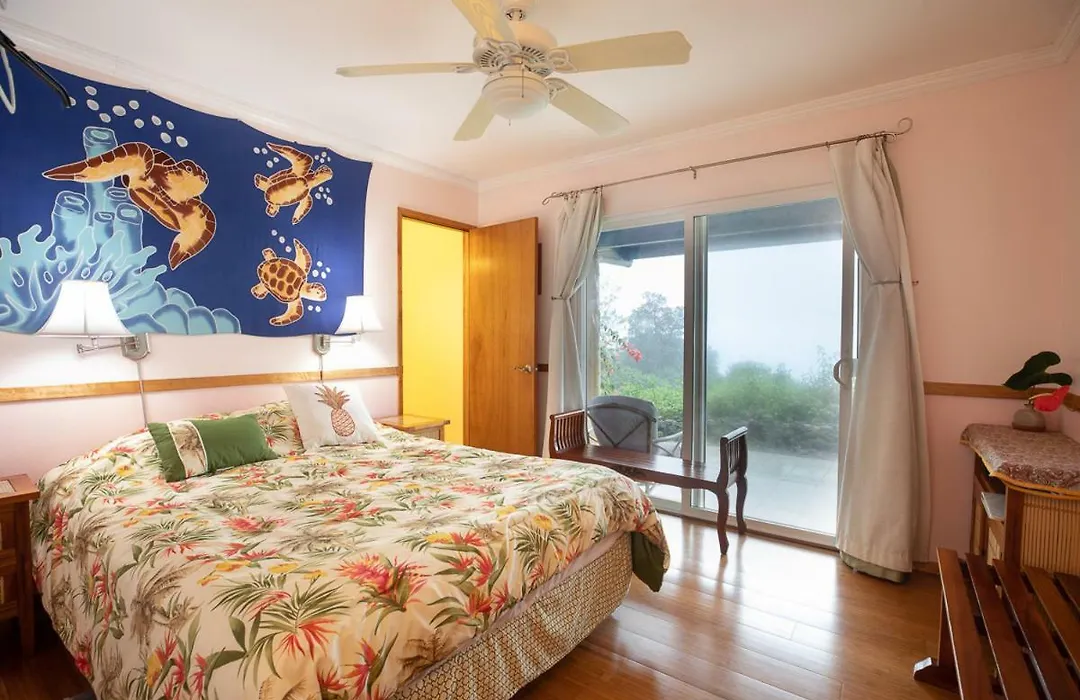 Mango Sunset Bnb Inn At Lyman Organic Kona Coffee Farms-1