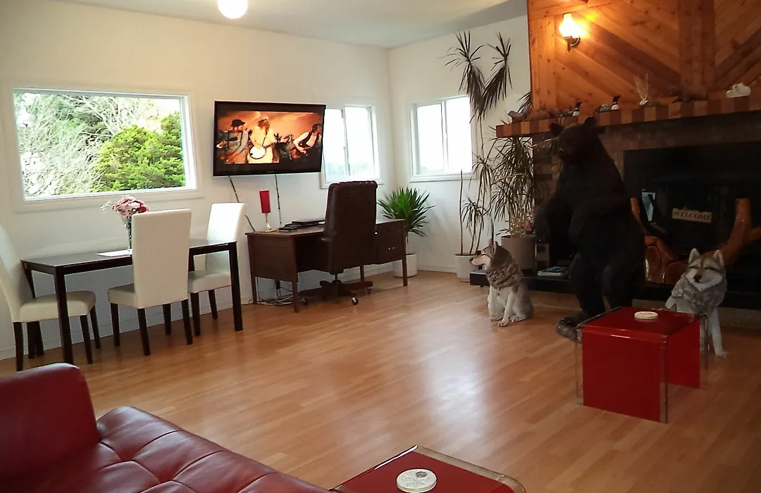 Enchanted Rainforest Guesthouse-1