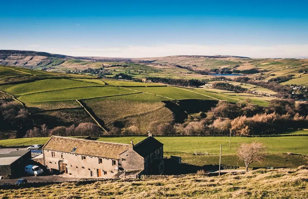 Coddy'S Farm-1