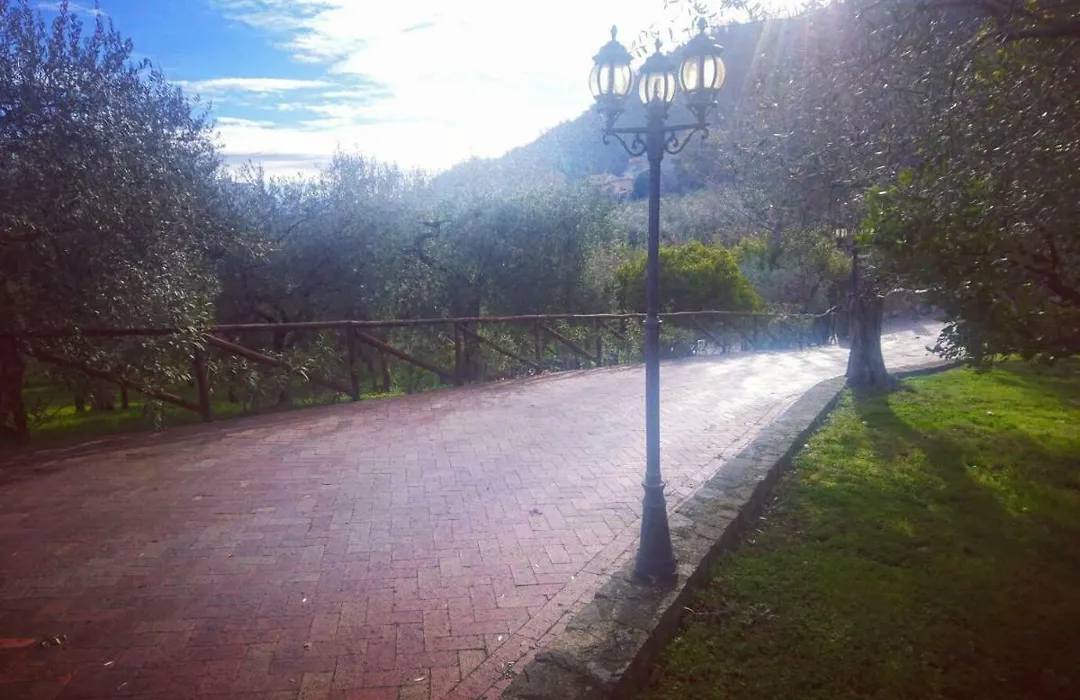La Ginestra-1