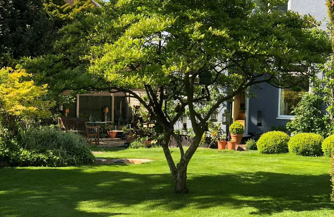 The Elms Guest House Bristol-1