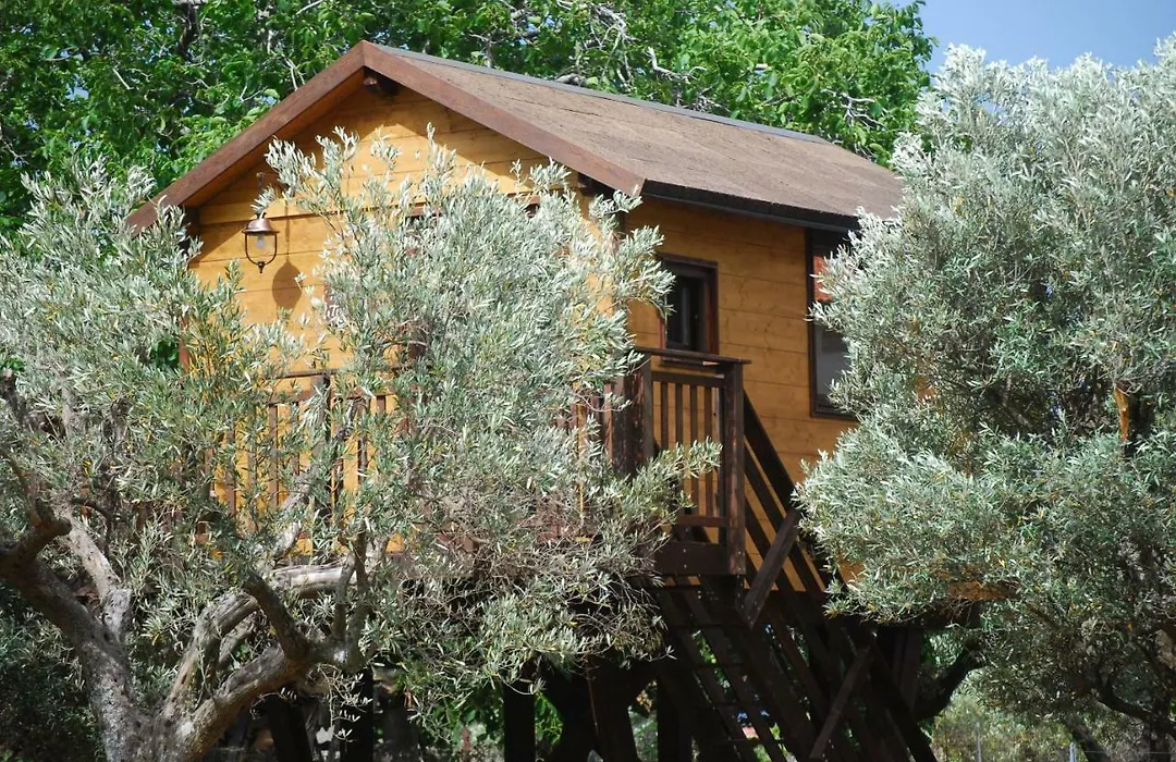 Palazzo Conforti Tree House Resort-1