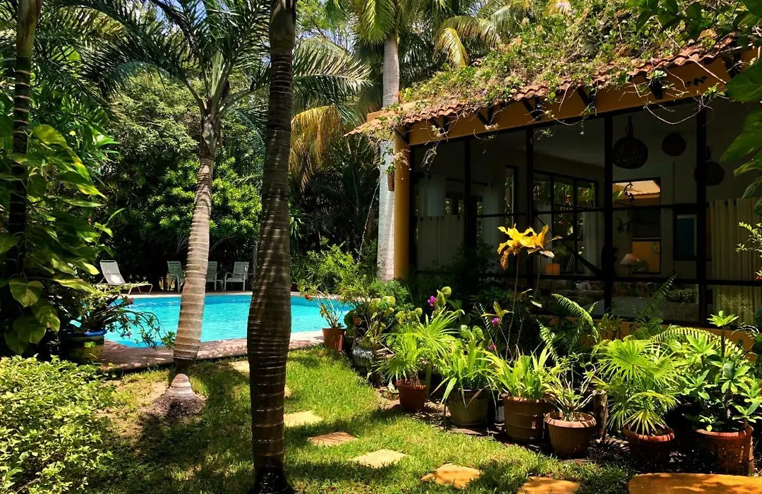Casa Kin33-1