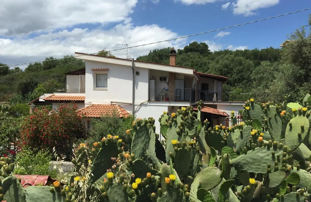 B&B Terre Di Sicilia-1