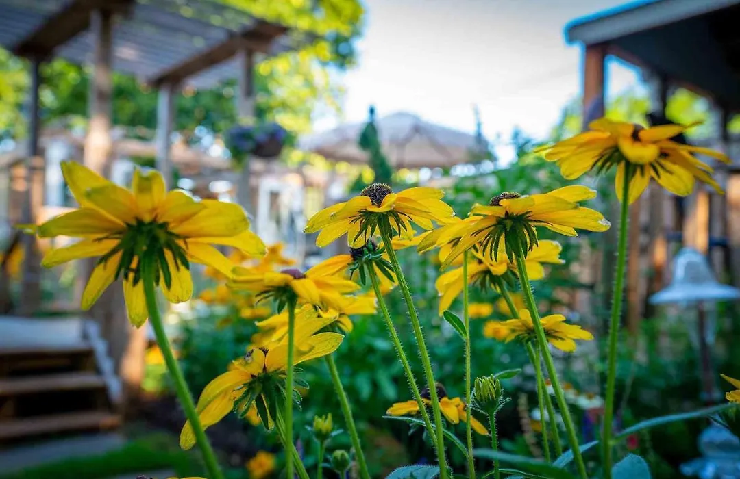 High Cotton Cottage B&B-1