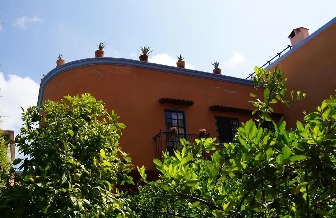 Casa Frida B&B-1