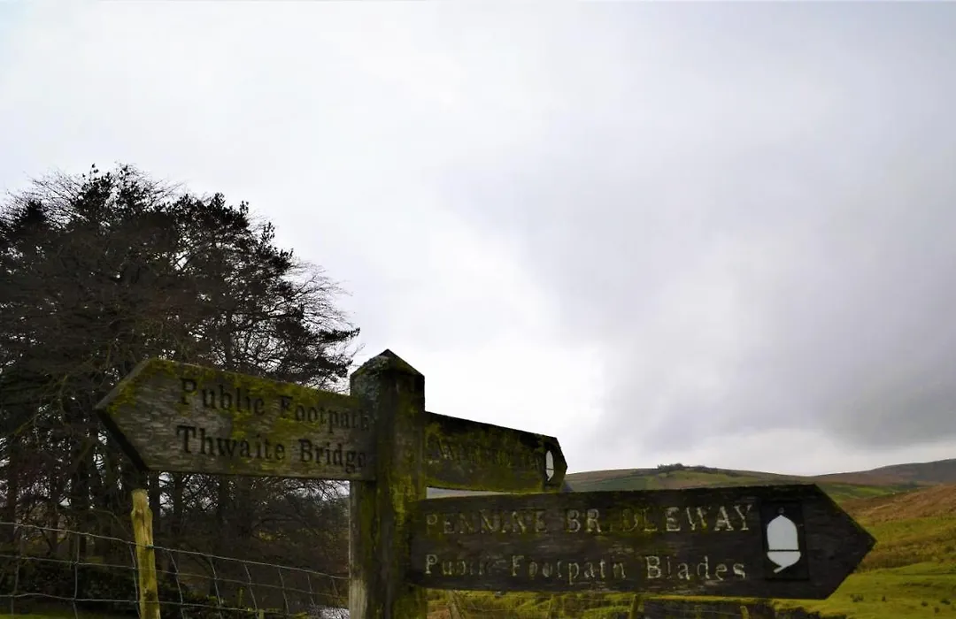 The Garsdale Bed & Breakfast - Goats And Oats At Garsdale-1