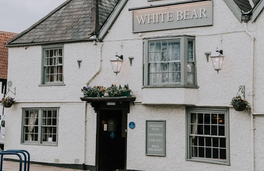 The White Bear-1