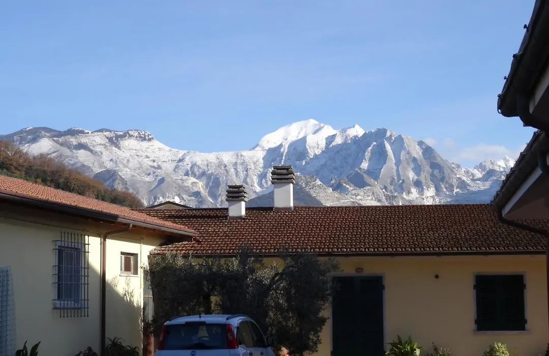 Merlo d'Oro-1