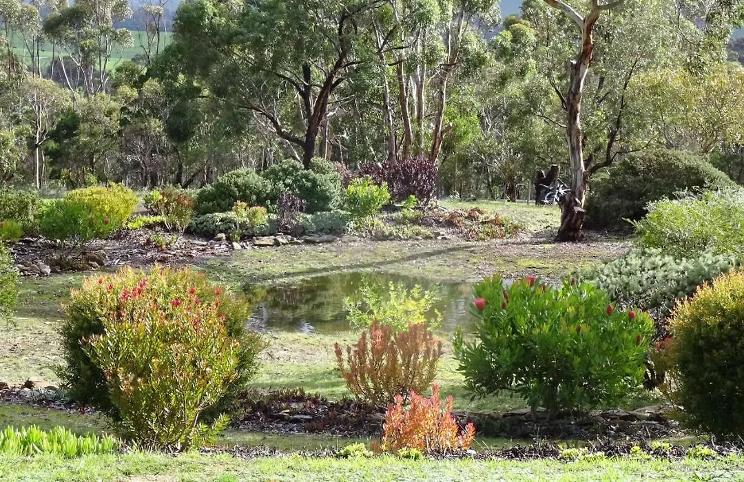 Austiny Bed And Breakfast Victor Harbor-1