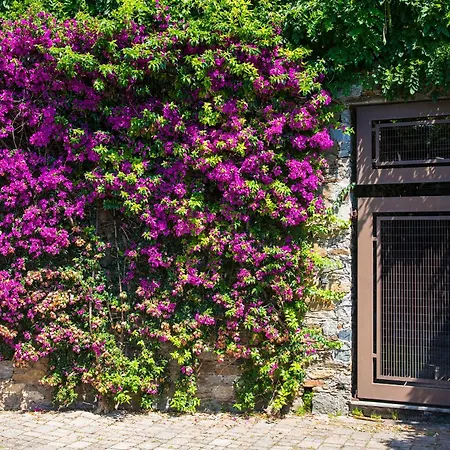 B&B Renalù-3