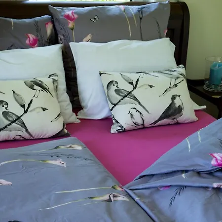 The Empty Nest B & B-2