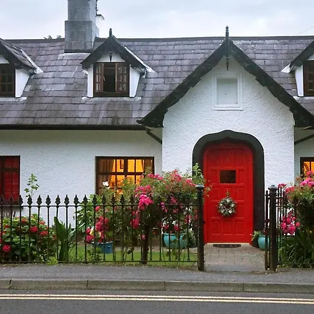 Ivy Cottage B&B-3