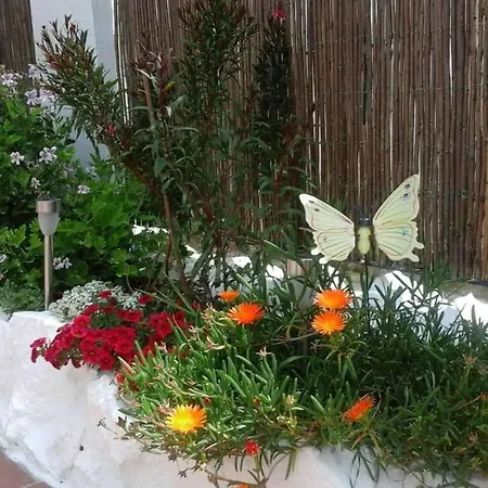 Primavera Bed And Breakfast.-3