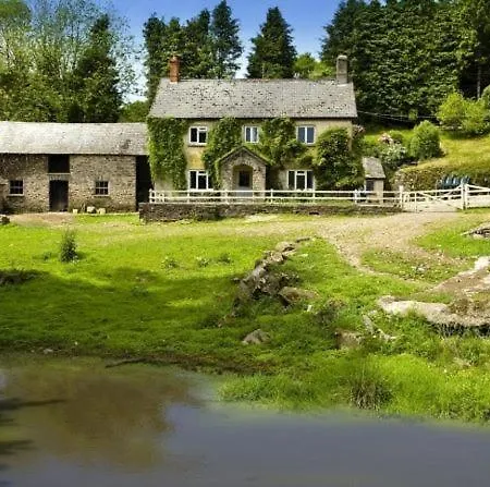 Zeal Farm-2