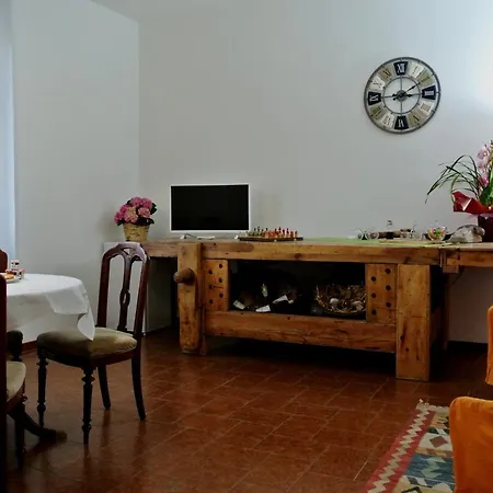 B&B Lori-3