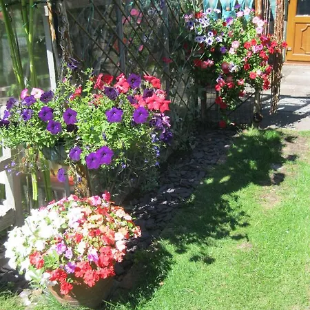 Perfect For Petersfield B&B-2