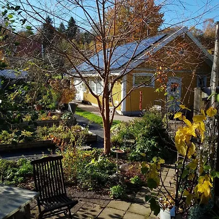 Perenner Pa Bakgarden-2