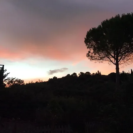 B&B Il Frassino-3