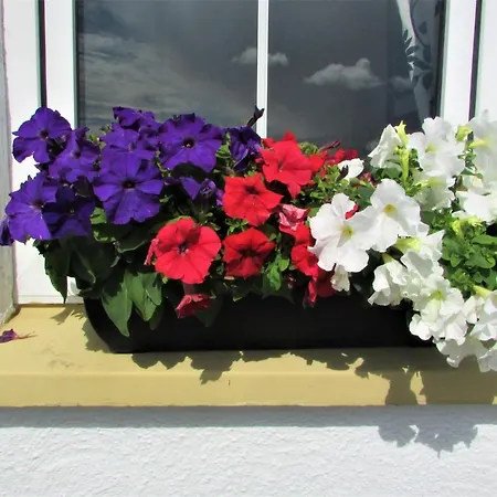 Breacan Cottage B&B-2
