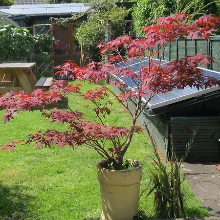 Perfect For Petersfield B&B-3