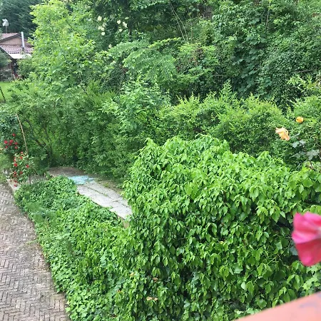 B&B La Villarella dei Tulipani-3