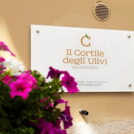 Il Cortile degli Ulivi-2