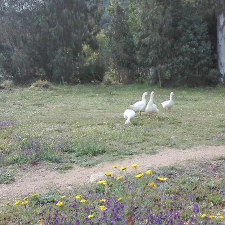 B&B Il melograno-2